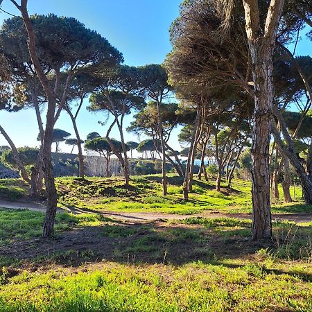 Sea Wave Sounds, Meco, By The Beach Sesimbra Exterior foto